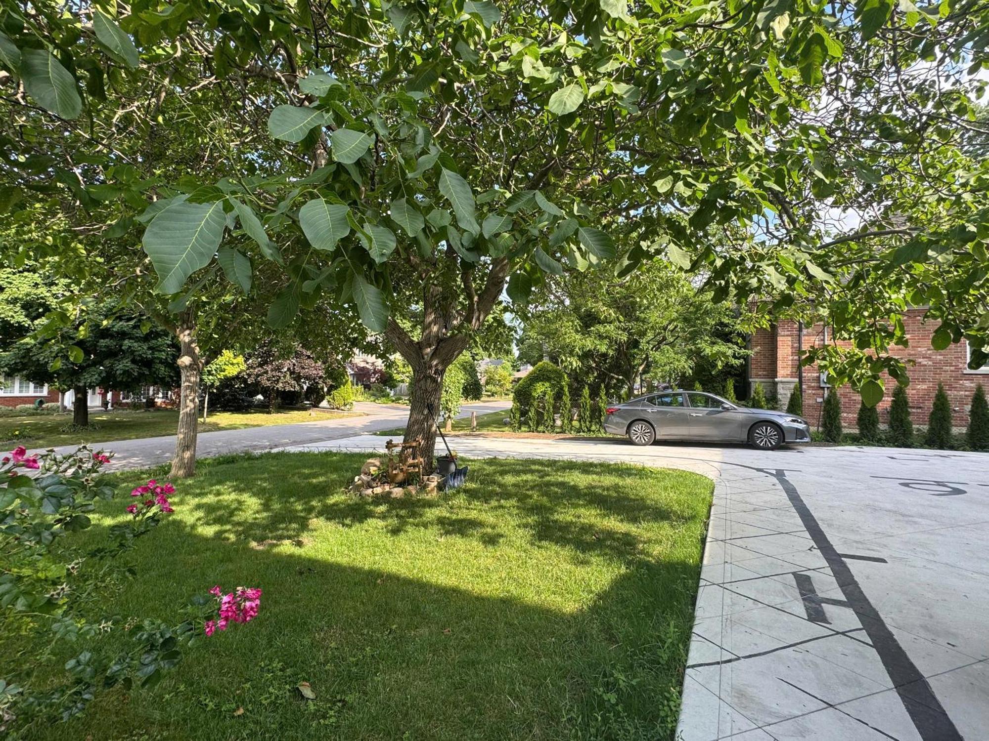 Apartment Spacious Room1, Airport, Free Parking, Sep Entrance, New Renovation, Shared Bathroom *